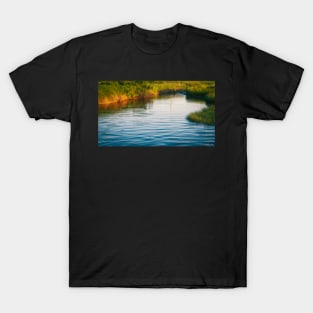 Near Sunset at MacCormacks Beach T-Shirt